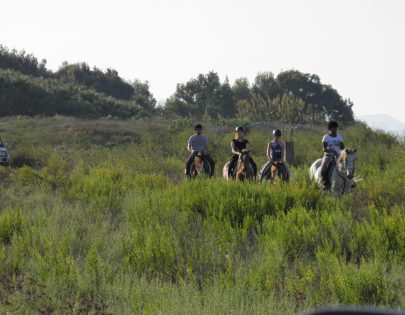 Μαρμάρι